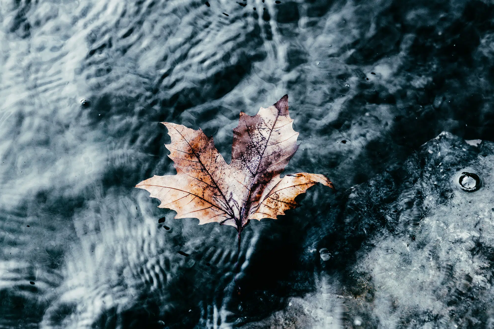 Elodie Chabrier artiste photographe
