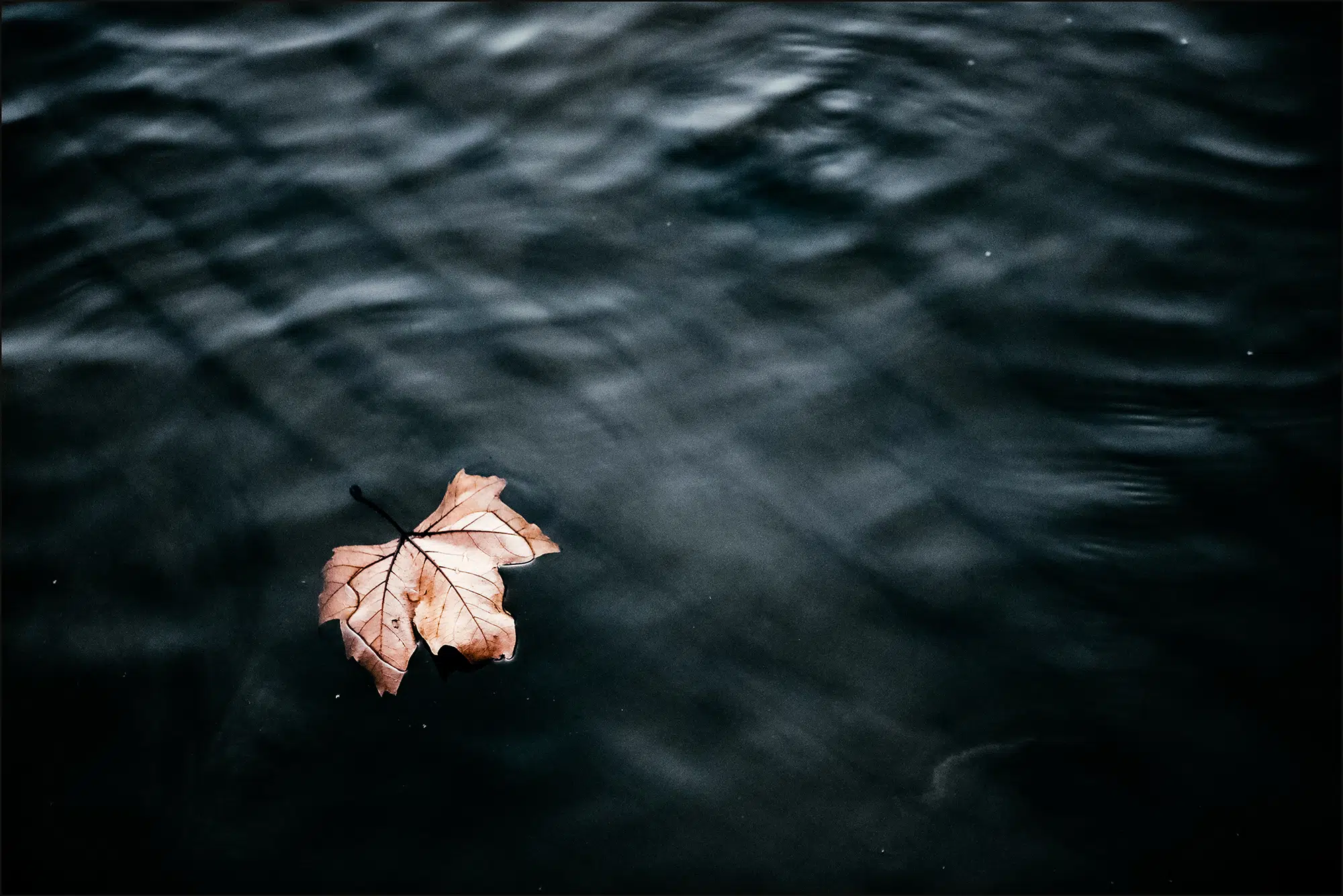 Elodie Chabrier artiste photographe