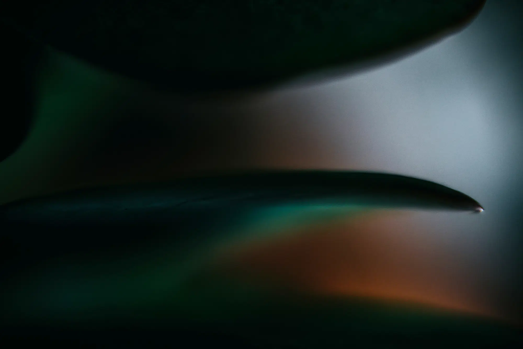 Elodie Chabrier artiste photographe en Auvergne