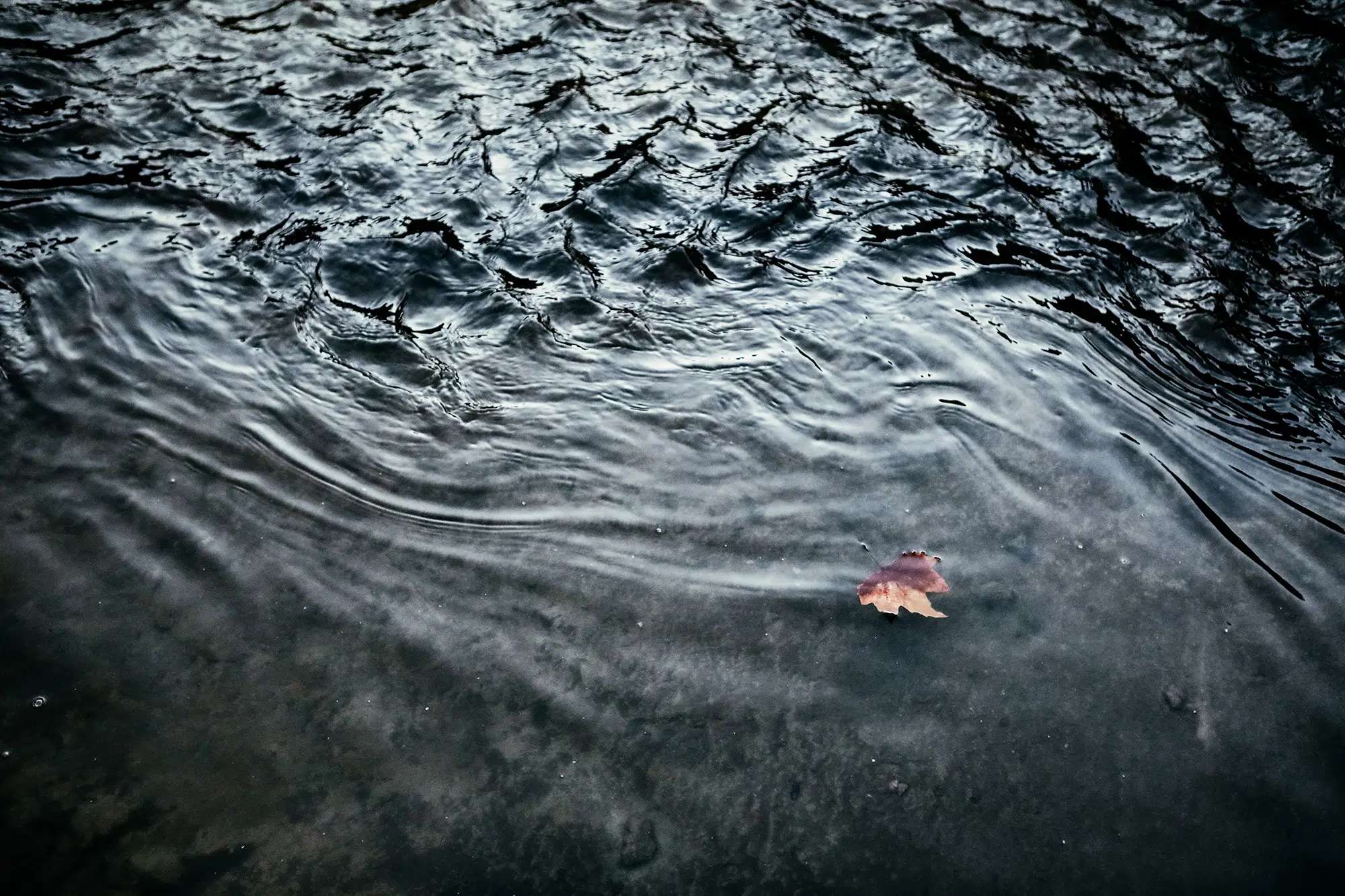 Elodie Chabrier artiste photographe
