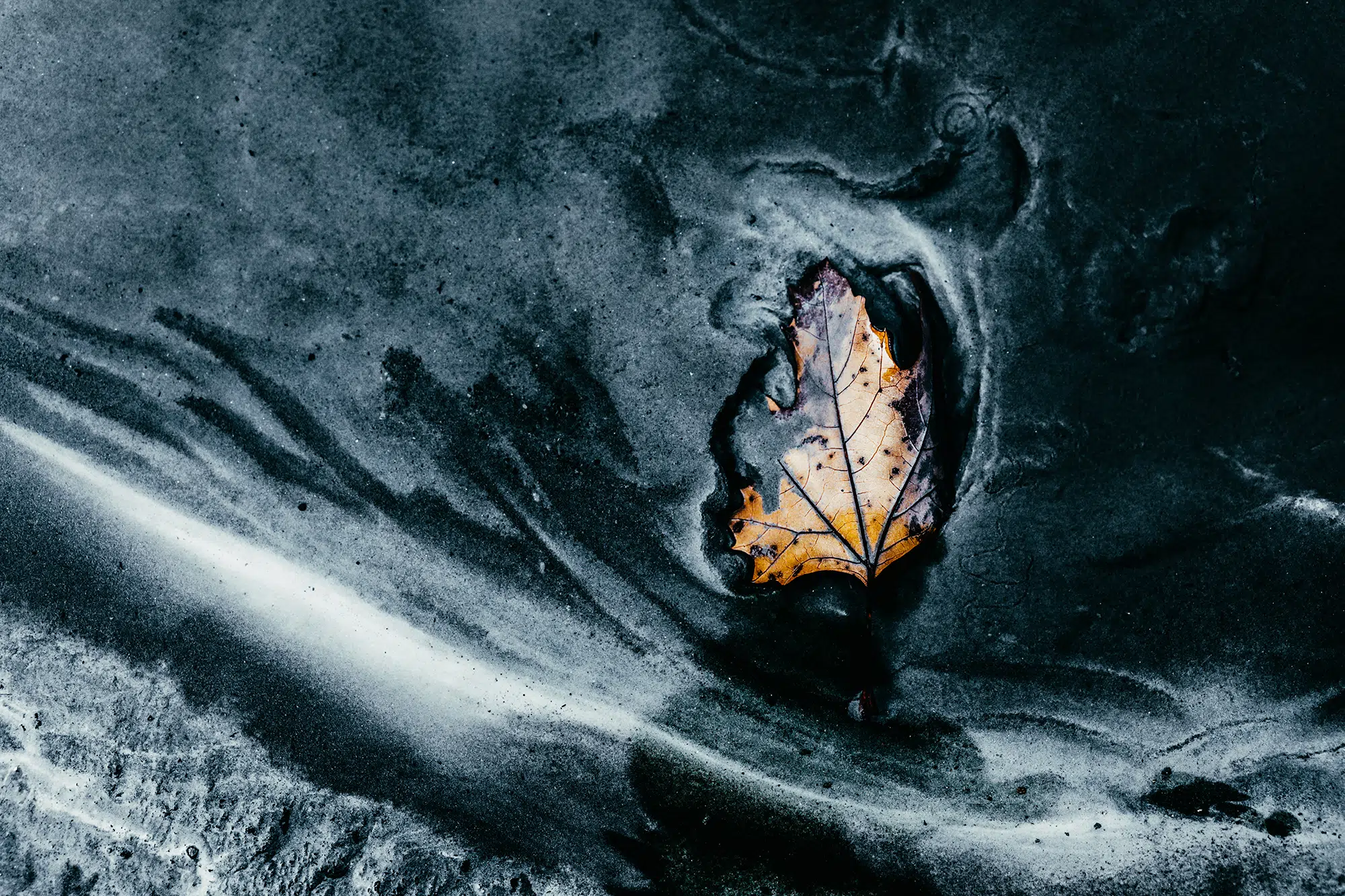 Elodie Chabrier artiste photographe