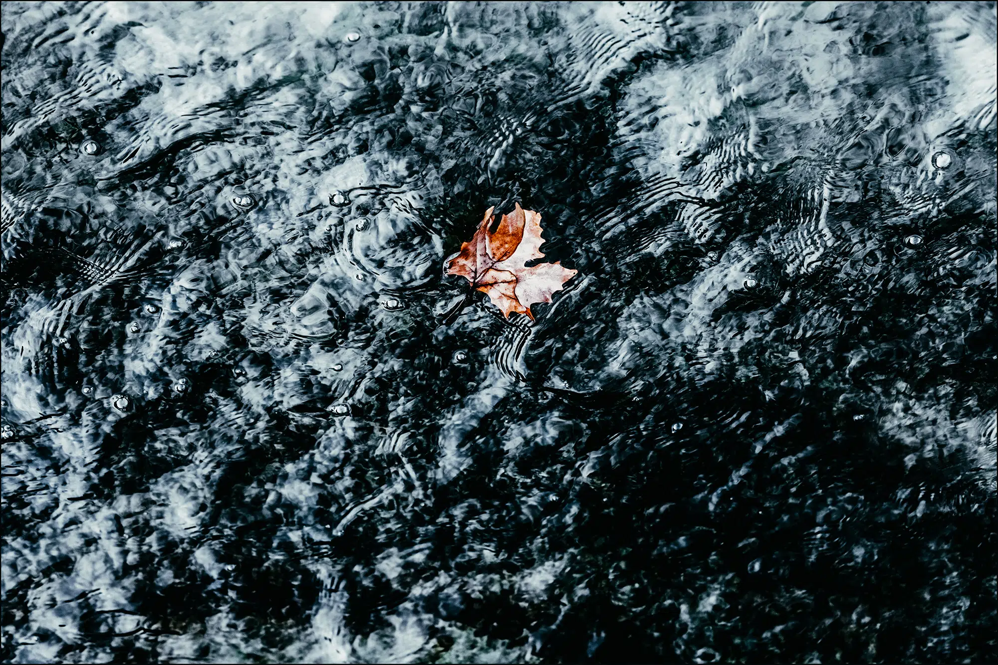Elodie Chabrier artiste photographe