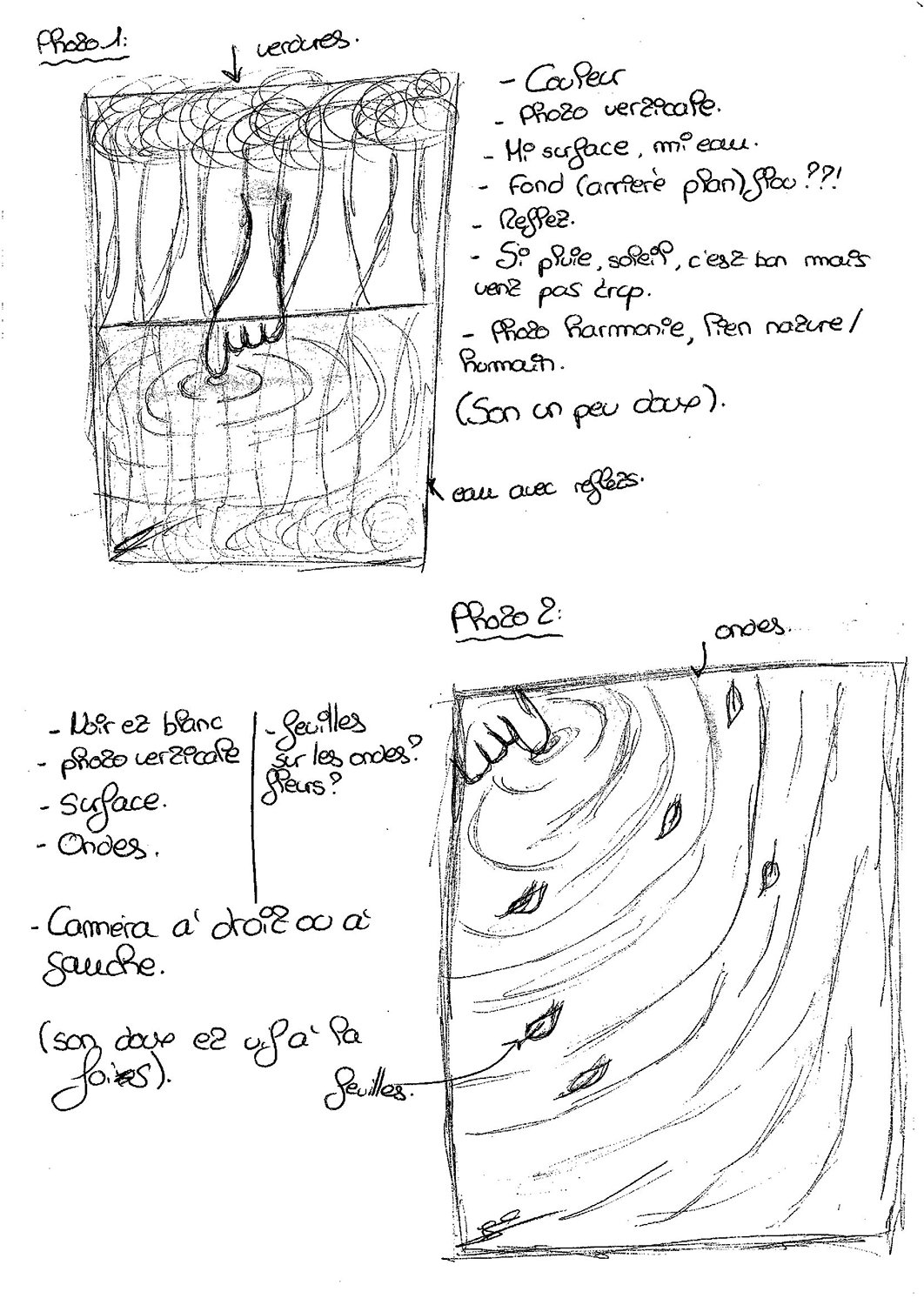 Projet EAC - Gannat - fête de la nature - Elodie Chabrier