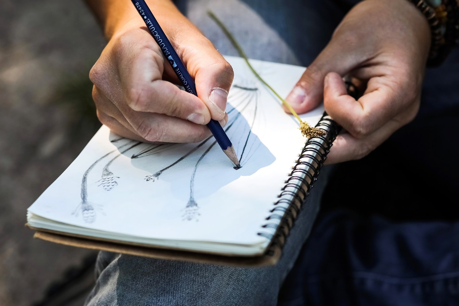 Photographe pour artistes et artisans en Auvergne