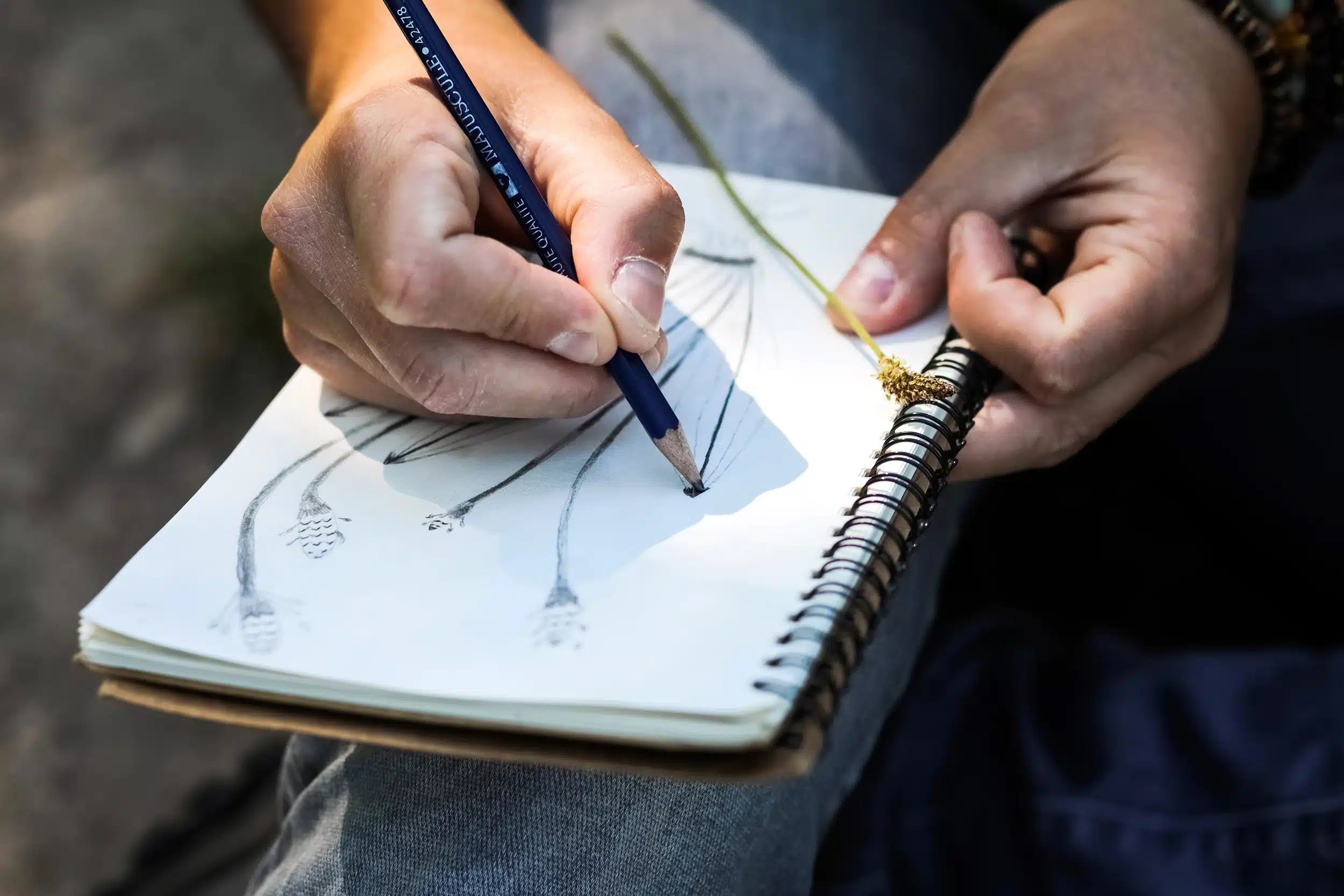 Photographe pour artistes et artisans en Auvergne