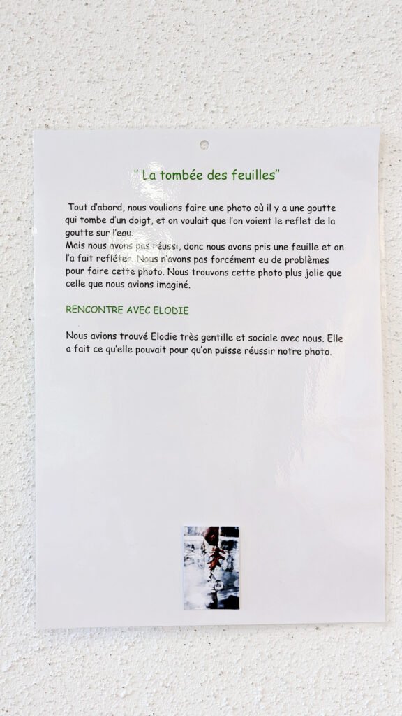 Projet EAC - Gannat - fête de la nature - Elodie Chabrier